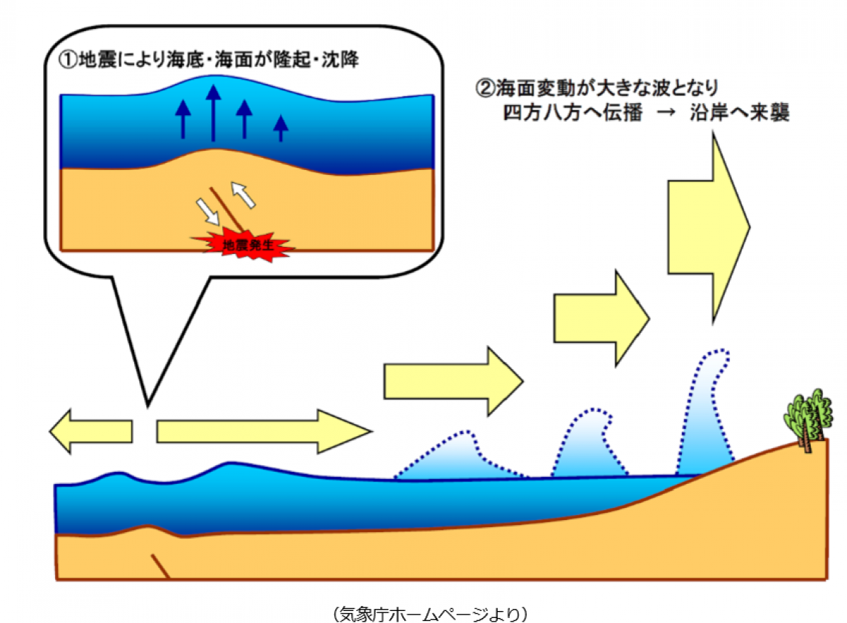 １－３．津波の伝播