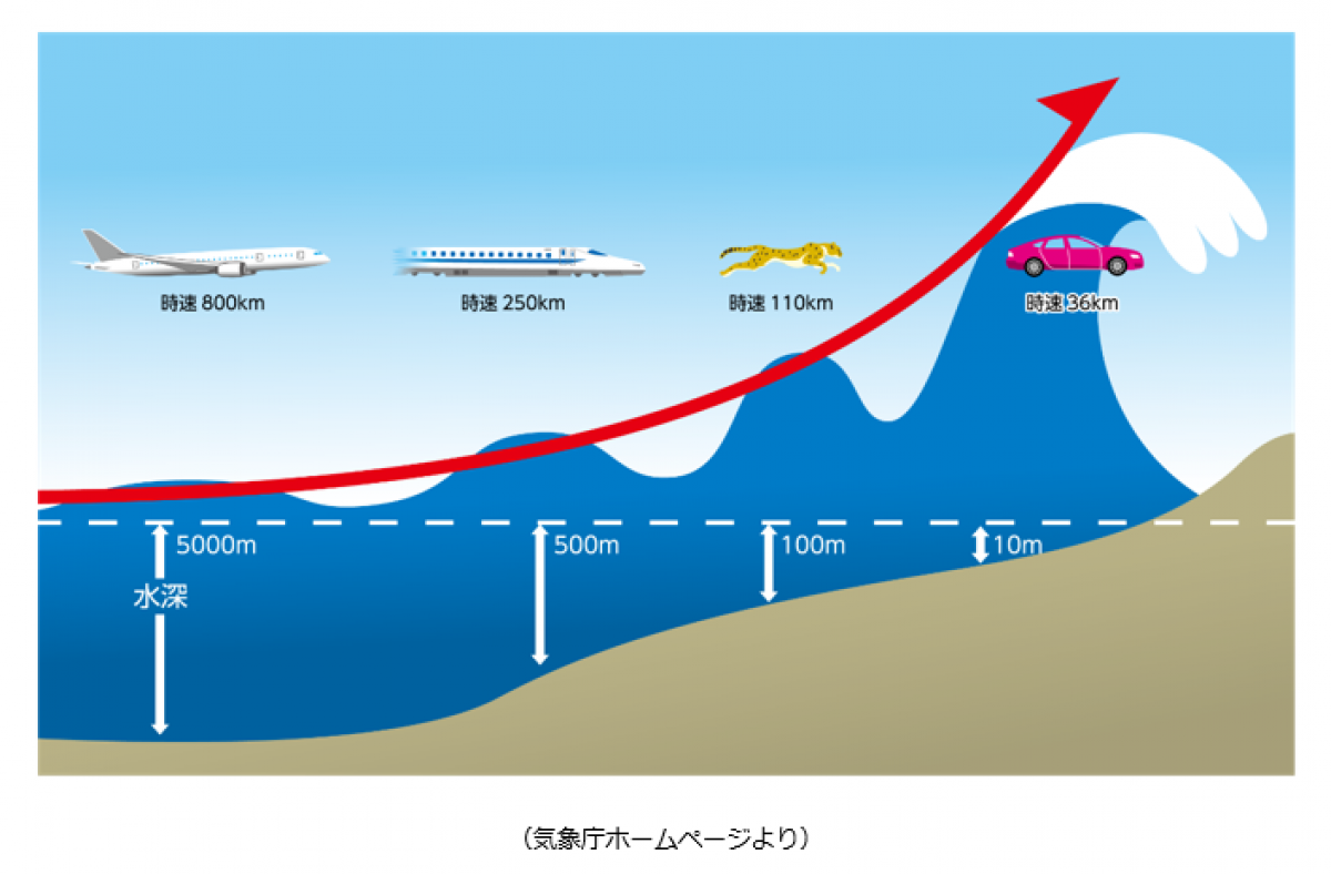 上越 の 波 の 高 さ